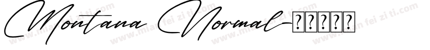 Montana Normal字体转换